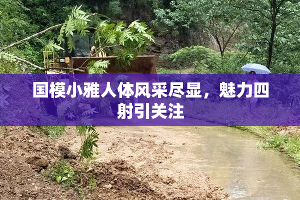 国模小雅人体风采尽显，魅力四射引关注