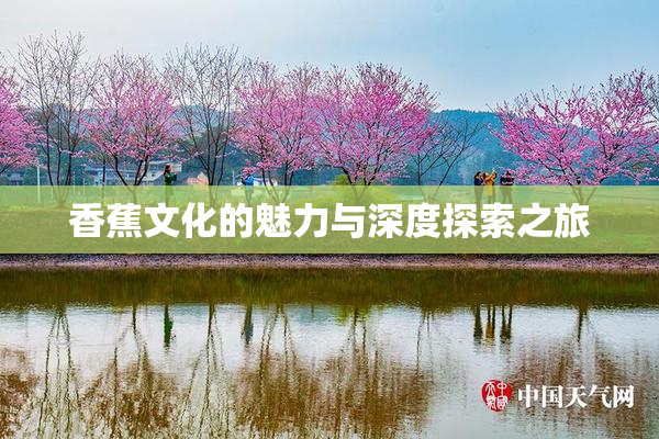 香蕉文化的魅力与深度探索之旅