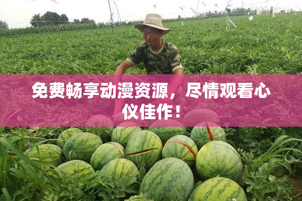 免费畅享动漫资源，尽情观看心仪佳作！