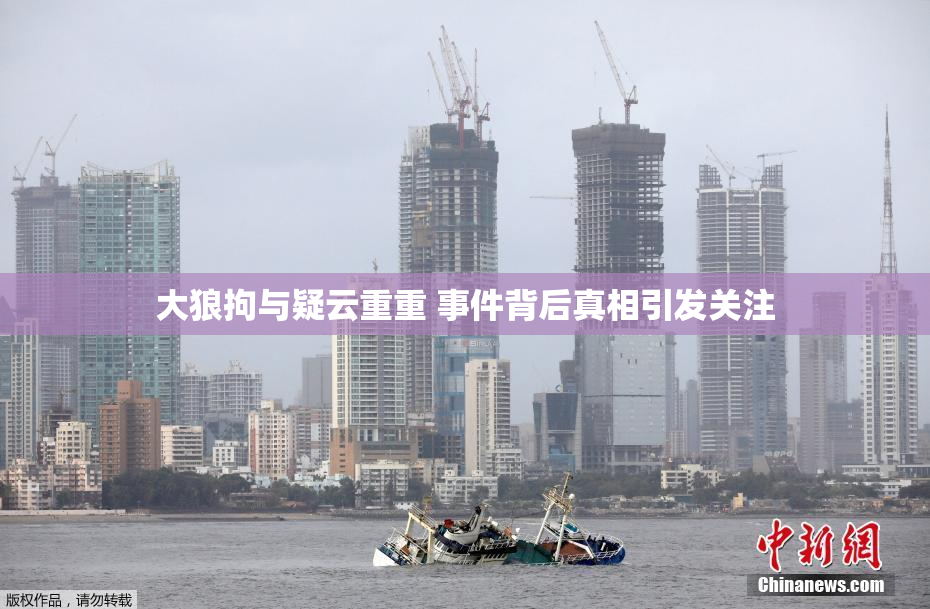 大狼拘与疑云重重 事件背后真相引发关注