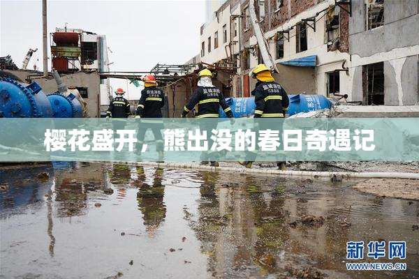 樱花盛开，熊出没的春日奇遇记