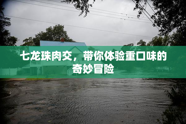七龙珠肉交，带你体验重口味的奇妙冒险