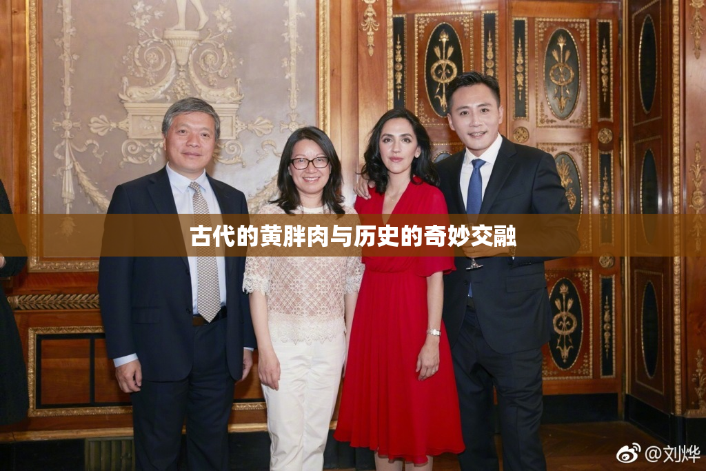 古代的黄胖肉与历史的奇妙交融