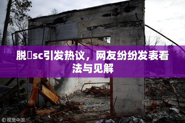 脱糞sc引发热议，网友纷纷发表看法与见解