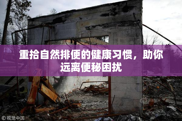 重拾自然排便的健康习惯，助你远离便秘困扰