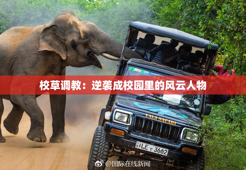 校草调教：逆袭成校园里的风云人物