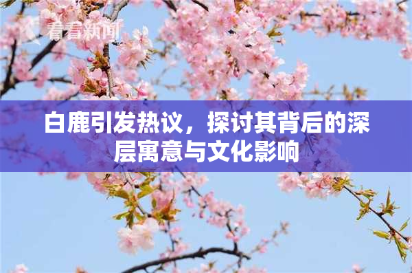 白鹿引发热议，探讨其背后的深层寓意与文化影响