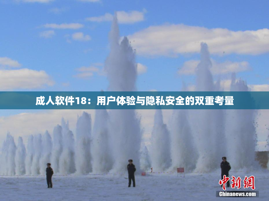 成人软件18：用户体验与隐私安全的双重考量