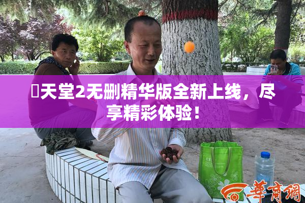 妺天堂2无删精华版全新上线，尽享精彩体验！