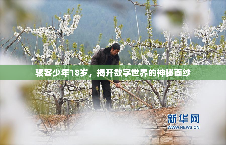 骇客少年18岁，揭开数字世界的神秘面纱