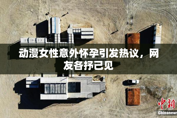 动漫女性意外怀孕引发热议，网友各抒己见