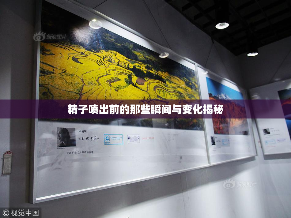 精子喷出前的那些瞬间与变化揭秘