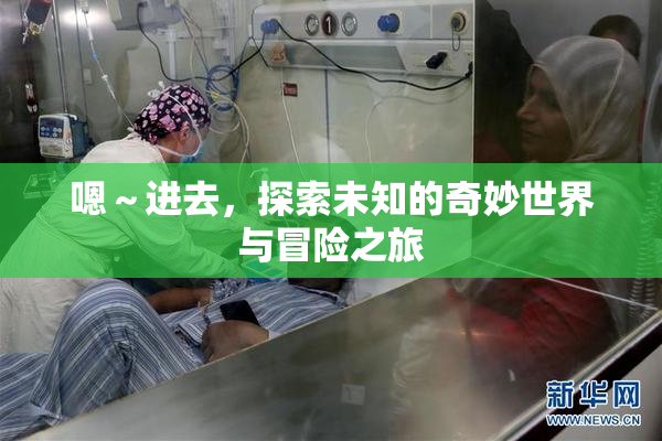 嗯～进去，探索未知的奇妙世界与冒险之旅