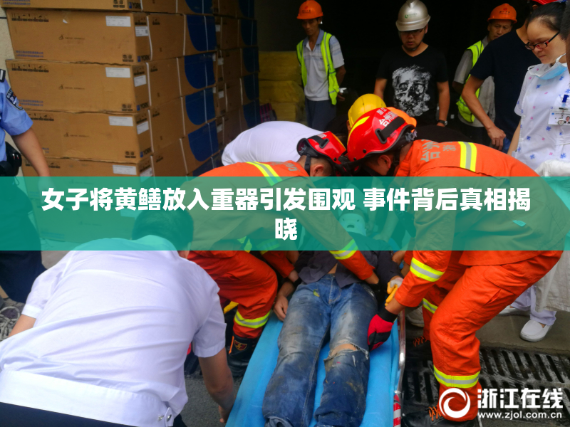 女子将黄鳝放入重器引发围观 事件背后真相揭晓