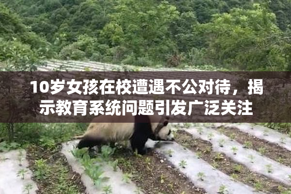 10岁女孩在校遭遇不公对待，揭示教育系统问题引发广泛关注