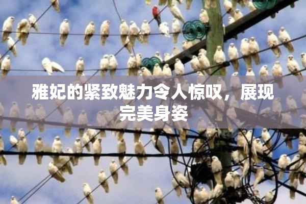 雅妃的紧致魅力令人惊叹，展现完美身姿
