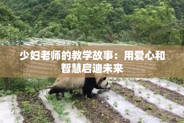 少妇老师的教学故事：用爱心和智慧启迪未来