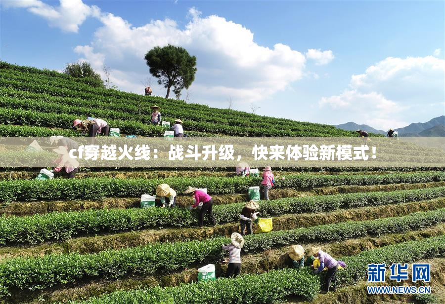 cf穿越火线：战斗升级，快来体验新模式！