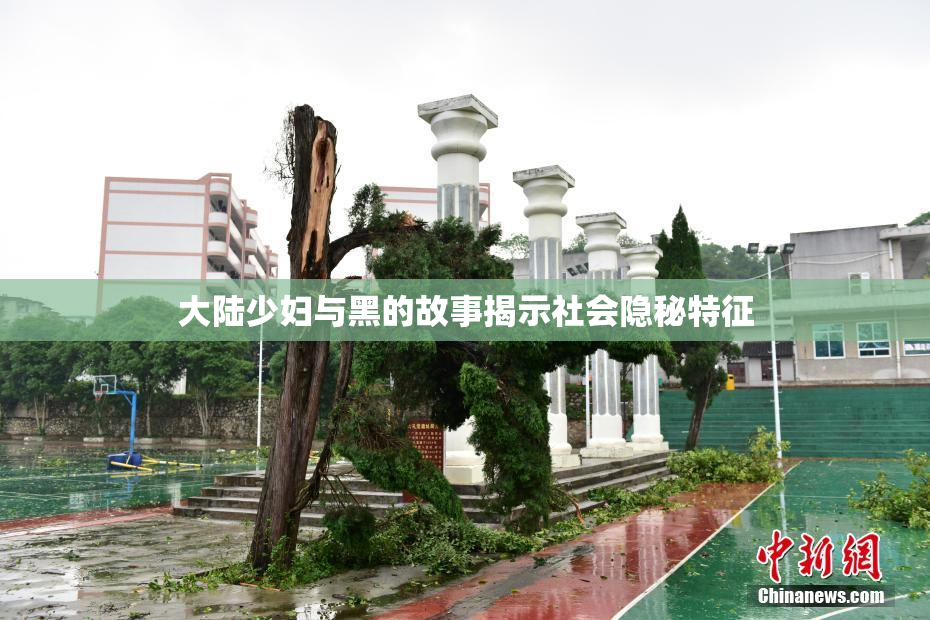 大陆少妇与黑的故事揭示社会隐秘特征