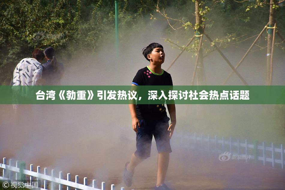 台湾《勃重》引发热议，深入探讨社会热点话题