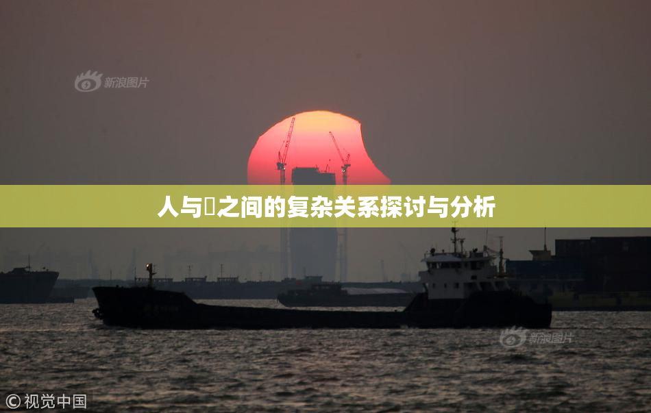 人与嘼之间的复杂关系探讨与分析