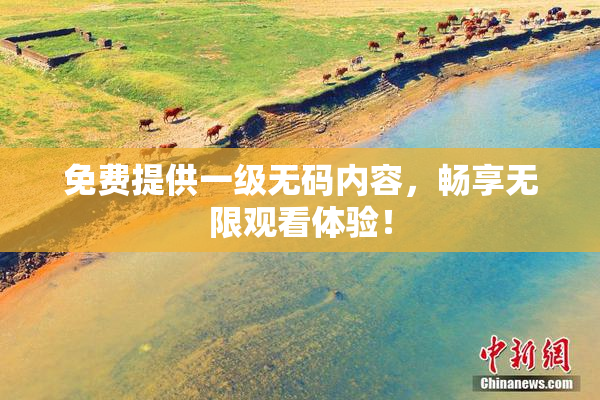 免费提供一级无码内容，畅享无限观看体验！