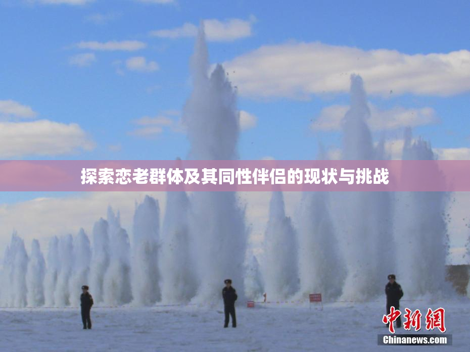 探索恋老群体及其同性伴侣的现状与挑战