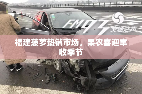 福建菠萝热销市场，果农喜迎丰收季节