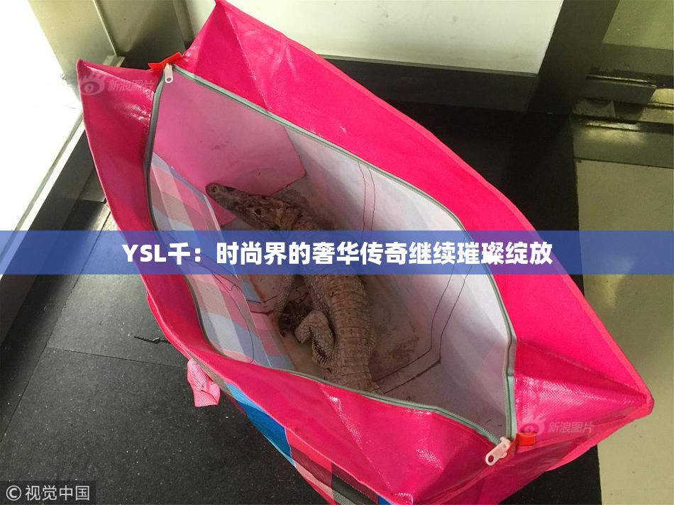 YSL千：时尚界的奢华传奇继续璀璨绽放