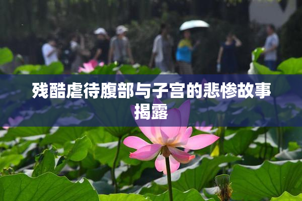 残酷虐待腹部与子宫的悲惨故事揭露