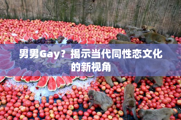 男男Gay？揭示当代同性恋文化的新视角