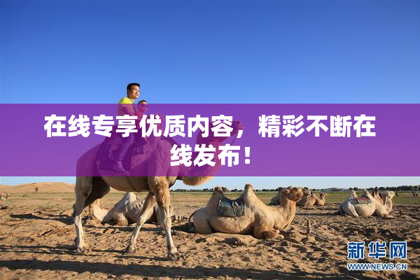 在线专享优质内容，精彩不断在线发布！