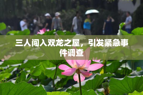 三人闯入双龙之屋，引发紧急事件调查