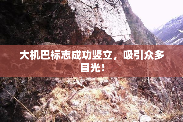 大机巴标志成功竖立，吸引众多目光！
