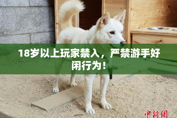 18岁以上玩家禁入，严禁游手好闲行为！