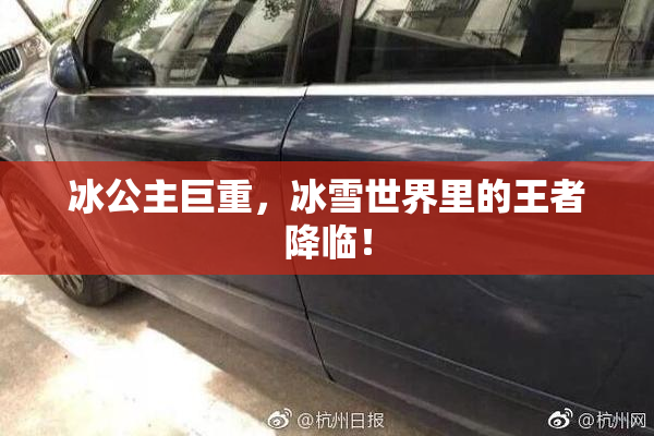 冰公主巨重，冰雪世界里的王者降临！