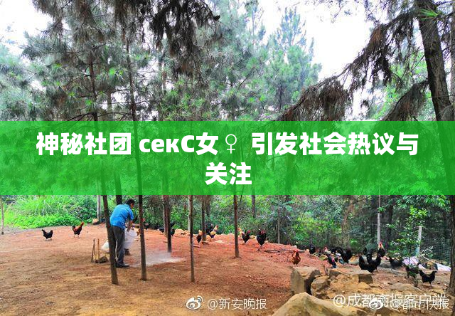 神秘社团 секС女♀ 引发社会热议与关注