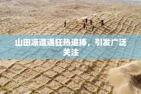 山田凉遭遇狂热追捧，引发广泛关注