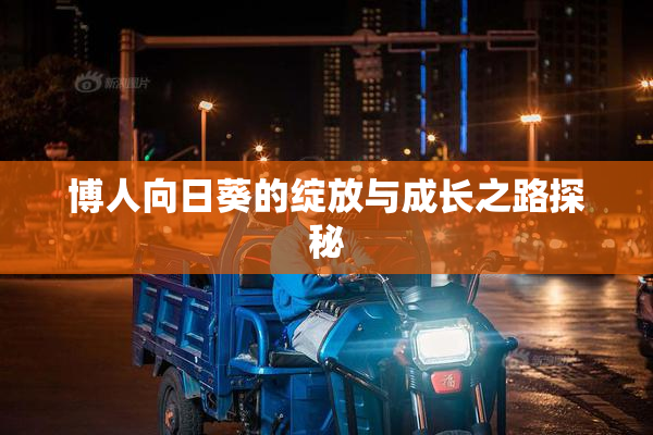 博人向日葵的绽放与成长之路探秘