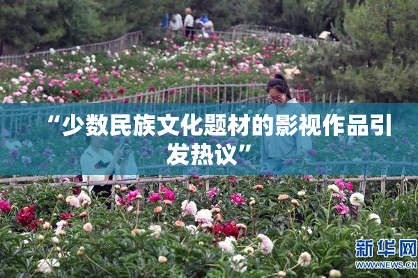 “少数民族文化题材的影视作品引发热议”