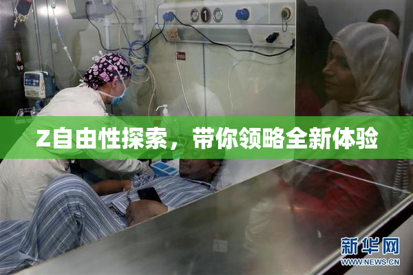 Z自由性探索，带你领略全新体验