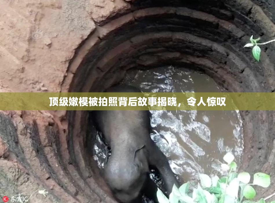 顶级嫩模被拍照背后故事揭晓，令人惊叹