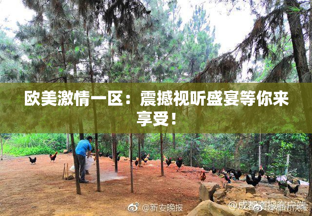 欧美激情一区：震撼视听盛宴等你来享受！