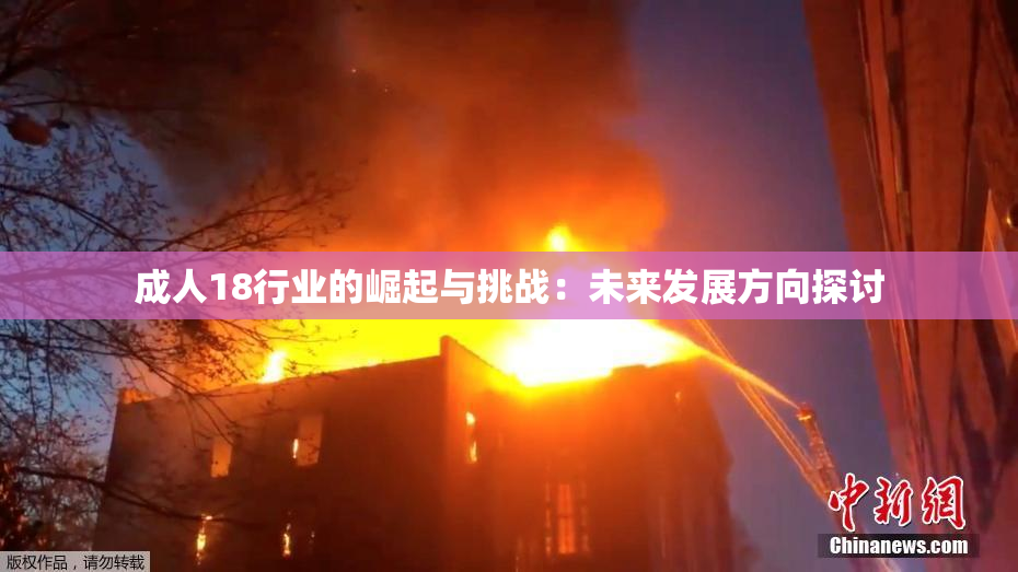成人18行业的崛起与挑战：未来发展方向探讨