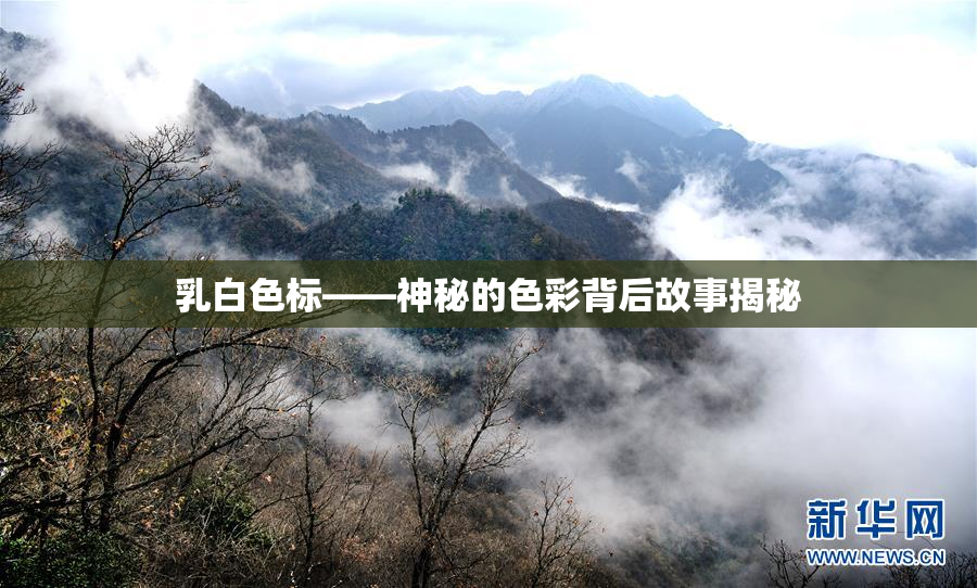 乳白色标——神秘的色彩背后故事揭秘