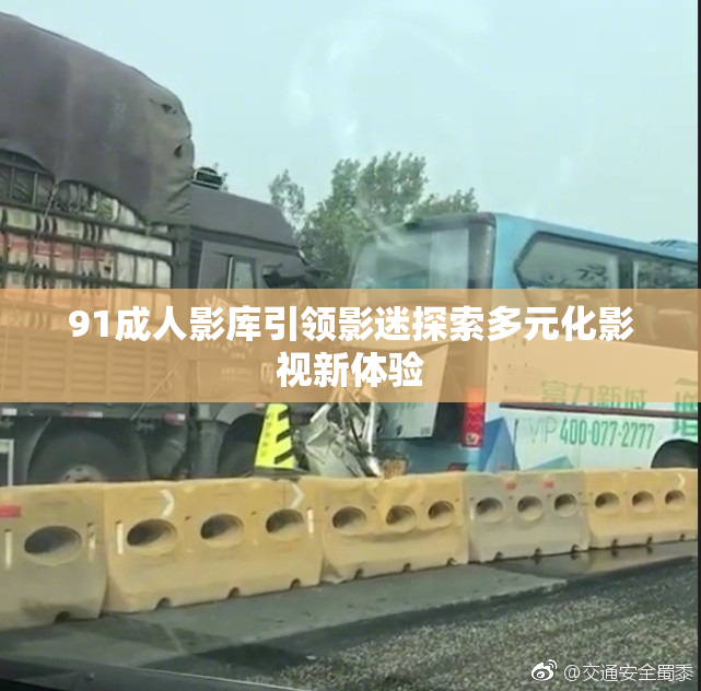 91成人影库引领影迷探索多元化影视新体验