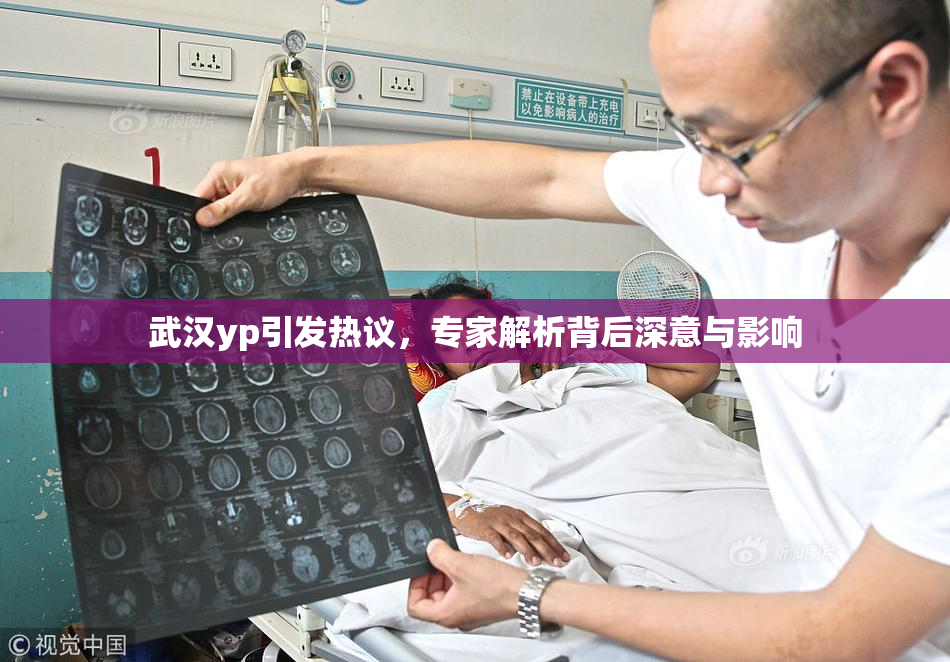 武汉yp引发热议，专家解析背后深意与影响