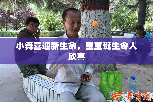 小舞喜迎新生命，宝宝诞生令人欣喜