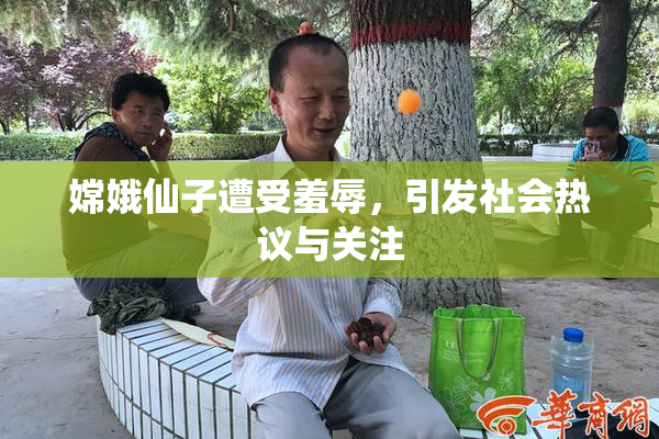 嫦娥仙子遭受羞辱，引发社会热议与关注
