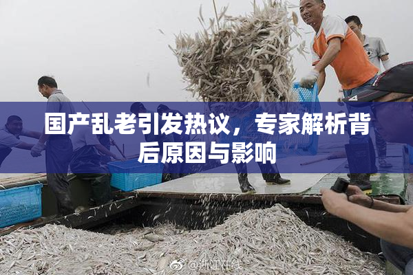 国产乱老引发热议，专家解析背后原因与影响